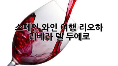 스페인 와인 여행: 리오하 & 리베라 델 두에로