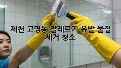 제천 고명동 알레르기 유발 물질 제거 청소