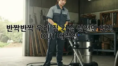 반짝반짝✨ 우리 집 거실, 상전면 먼지 OUT 대작전! 🏡